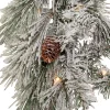 Kurt Adler Lawn And Outdoor Decor* 9-Foot Pre-Lit Clear Incandescent Flocked Garland