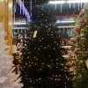 Puleo International Pre-Lit Trees* 7.5Ft Shiny Black Evergreen Spruce Tree In Ww #114-Esbk-75Qlwf3K7